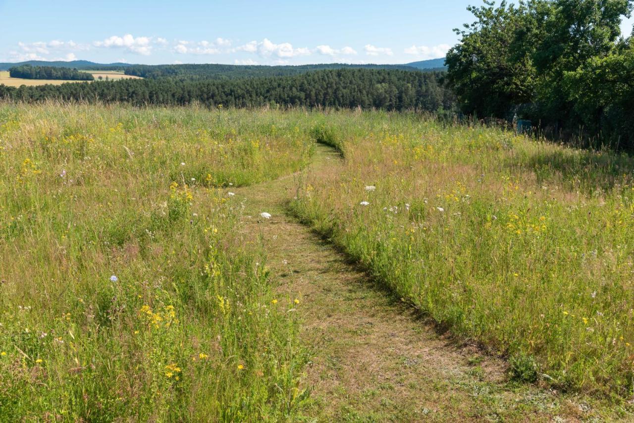 Moderne, Gemuetliche Dg-Wohnung In Ruhiger Lage Neunburg vorm Wald Eksteriør billede