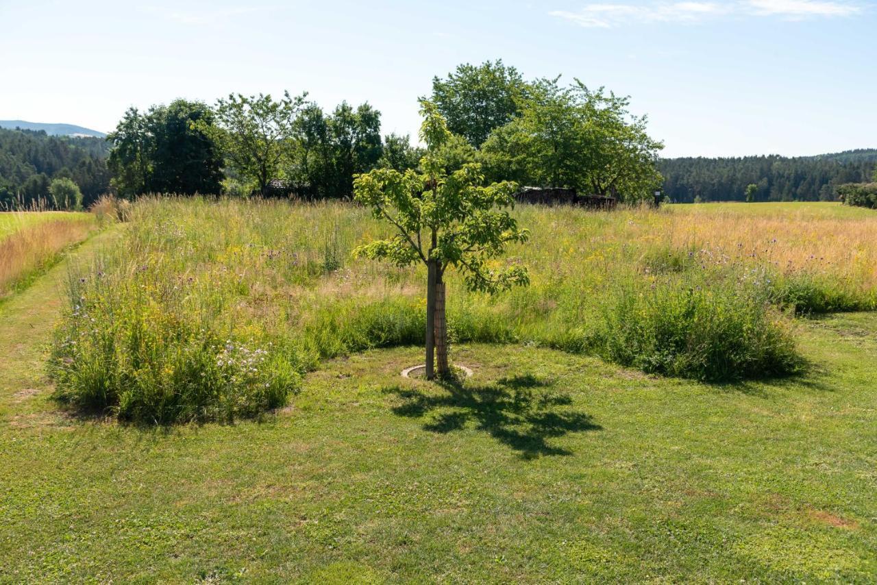 Moderne, Gemuetliche Dg-Wohnung In Ruhiger Lage Neunburg vorm Wald Eksteriør billede